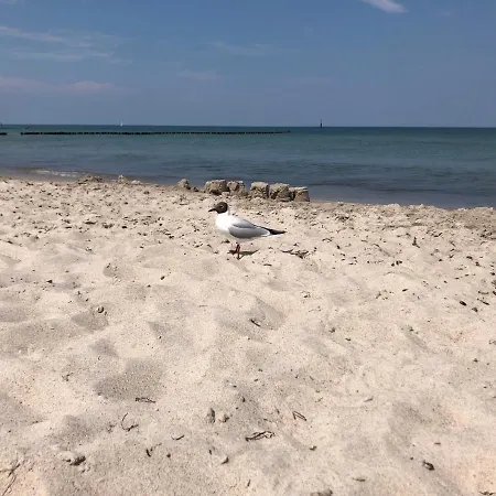 Διαμέρισμα Heimathafen Kuestenwald Gelbensande
